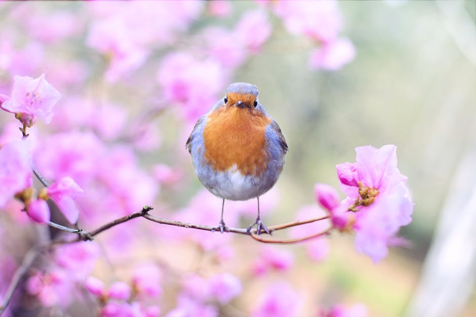 고급 오류 처리: 견고한 Spring Boot 애플리케이션 만들기